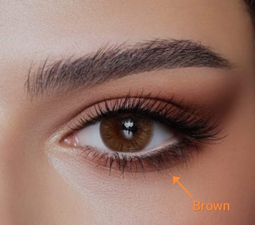 Single-Tone Brown Contact Lenses