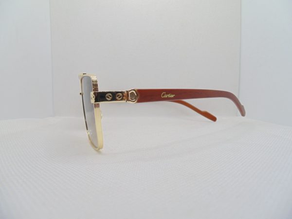 Sunglass